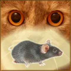 Download Mouse on the Screen for a Cat [MOD Unlocked] latest version 2.4.2 for Android