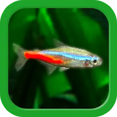 Download Tropical Aquarium - Mini Aqua [MOD Unlimited coins] latest version 1.7.9 for Android