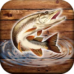 Fish rain: sport fishing