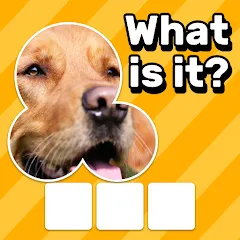 Download Zoom Quiz: Close Up Pics Game [MOD MegaMod] latest version 0.7.1 for Android