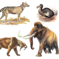 Extinct animals, endangered sp