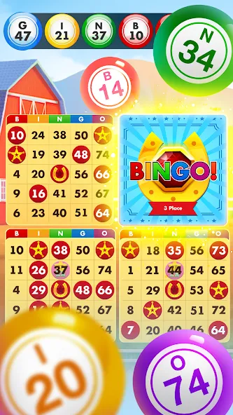 Bingo Country Boys: Tournament (Бинго Кантри Бойз) [МОД: Много денег, Монет и Все открыто] Screenshot 2