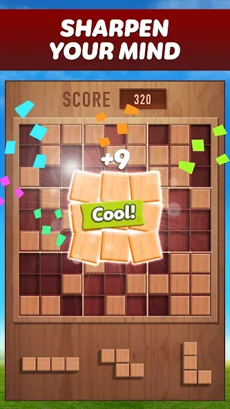 Woody 99 - Sudoku Block Puzzle (Вуди 99) [МОД: Много монет, Открытые уровни и Мега MOD] Screenshot 1