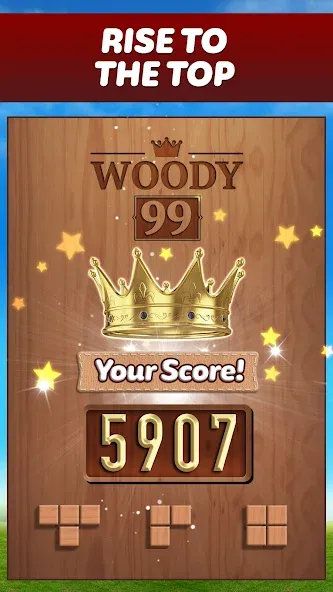 Woody 99 - Sudoku Block Puzzle (Вуди 99) [МОД: Много монет, Открытые уровни и Мега MOD] Screenshot 5