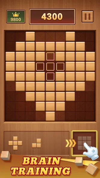 Wood Block 99 - Sudoku Puzzle (Вуд Блок 99) [МОД: Деньги, Монеты и Меню MOD] Screenshot 2