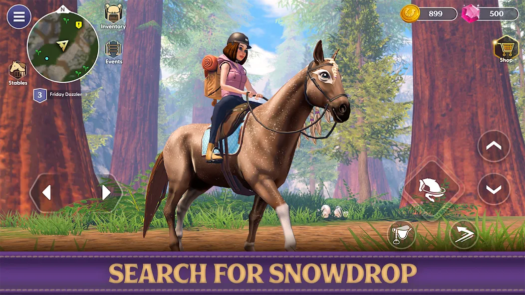 Star Equestrian - Horse Ranch (Стар Иквестриан) [МОД: Деньги, Монеты и Меню MOD] Screenshot 3