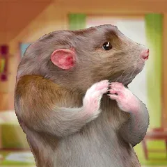 Скачать Rat Game & Mouse Simulator (Рат Лайф) [МОД: Бесконечные деньги, Монеты и Мега MOD] | Взлом Rat Game & Mouse Simulator на Андроид