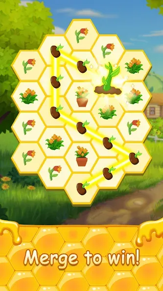 Honey Bottles - merge puzzle (Хани Ботлс) [МОД: Много денег, Монет и Все открыто] Screenshot 2