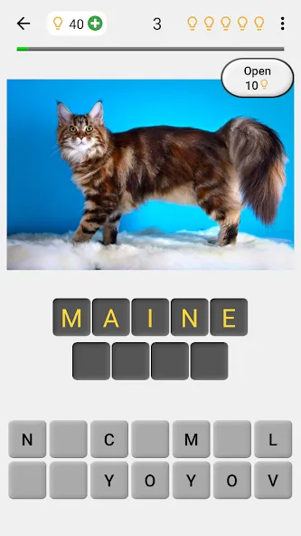 Cats Quiz Guess Popular Breeds [МОД: Много денег, Монет и Все открыто] Screenshot 1