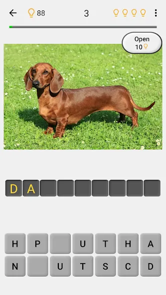 Dogs Quiz - Guess All Breeds! [МОД: Все открыто, Дополнительные деньги и Меню MOD] Screenshot 2