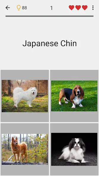 Dogs Quiz - Guess All Breeds! [МОД: Все открыто, Дополнительные деньги и Меню MOD] Screenshot 4
