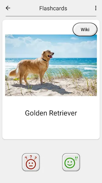Dogs Quiz - Guess All Breeds! [МОД: Все открыто, Дополнительные деньги и Меню MOD] Screenshot 5