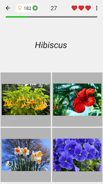 Flowers Quiz - Identify Plants [МОД: Меню, Бесконечные монеты и Открытые уровни] Screenshot 4