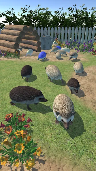 Hedgehog Friends (Хеджхог Френдс) [МОД: Много монет, Открытые уровни и Мега MOD] Screenshot 3