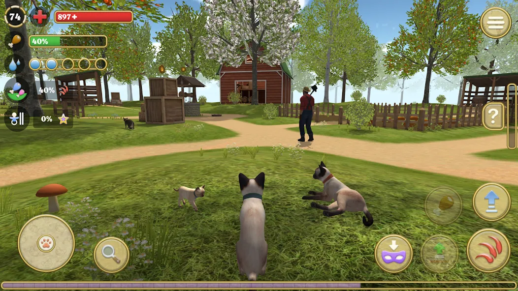 Cat Simulator : Kitties Family [МОД: Бесконечные деньги, Монеты и Мега MOD] Screenshot 1