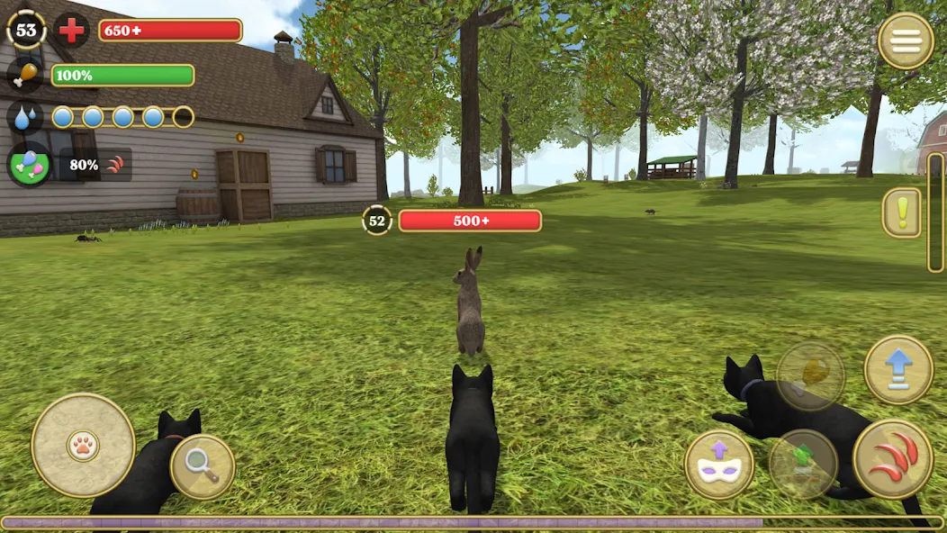 Cat Simulator : Kitties Family [МОД: Бесконечные деньги, Монеты и Мега MOD] Screenshot 2
