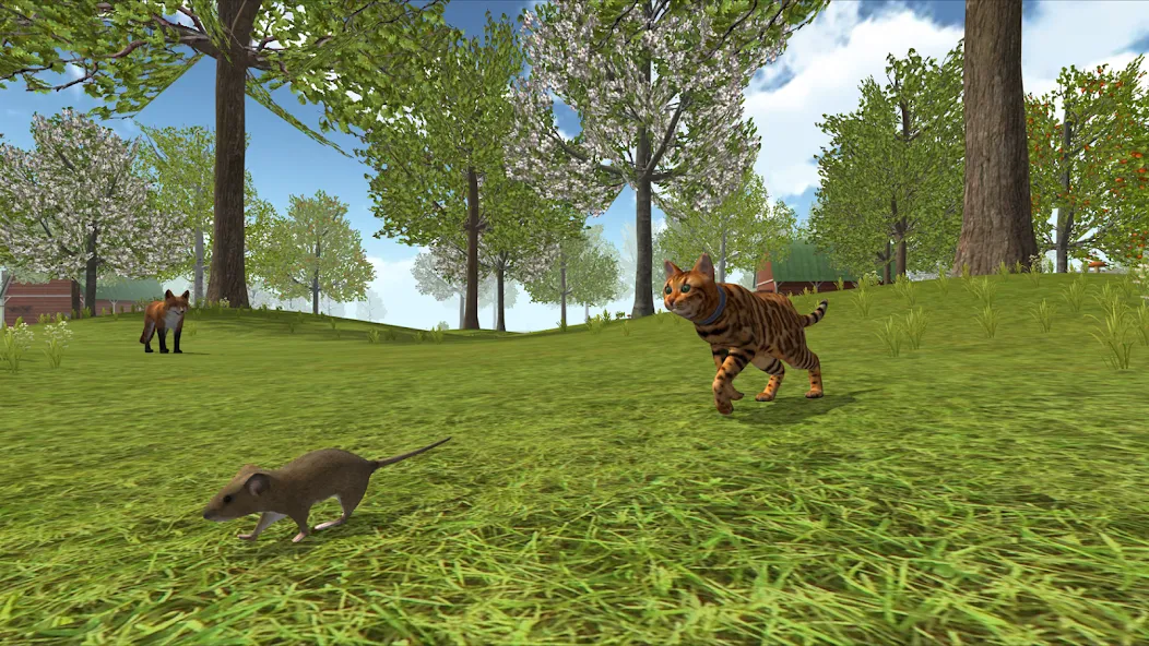 Cat Simulator : Kitties Family [МОД: Бесконечные деньги, Монеты и Мега MOD] Screenshot 4