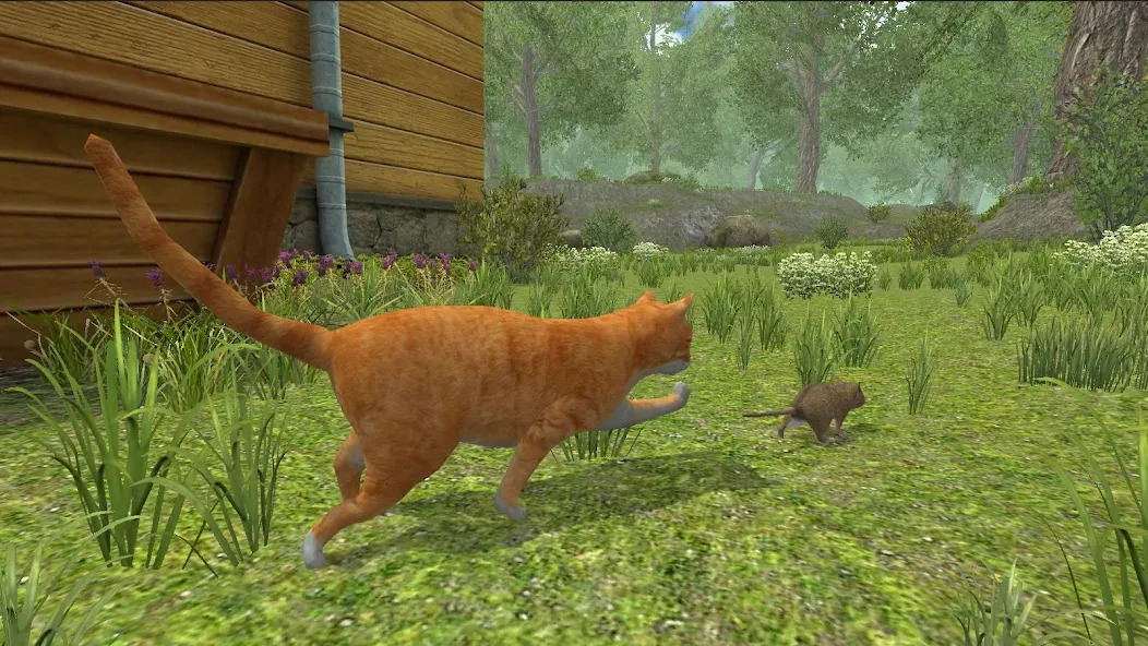 Mouse Simulator :  Forest Home [МОД: Много монет, Открытые уровни и Мега MOD] Screenshot 3
