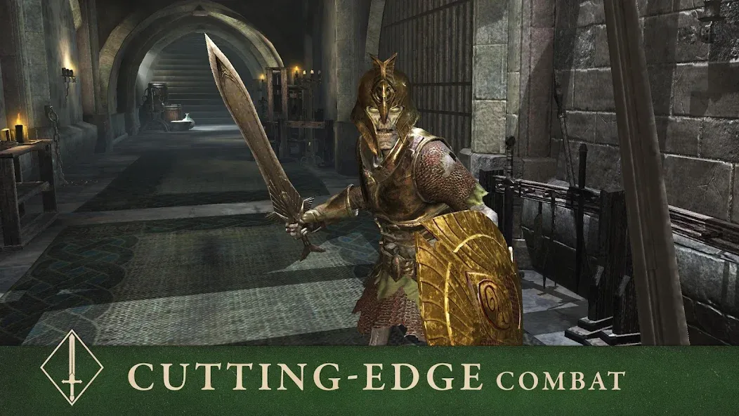 The Elder Scrolls: Blades (Зе Элдер Скроллс) [МОД: Меню, Бесконечные монеты и Открытые уровни] Screenshot 5