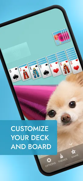 Spider Solitaire [МОД: Бесконечные деньги, Монеты и Мега MOD] Screenshot 3