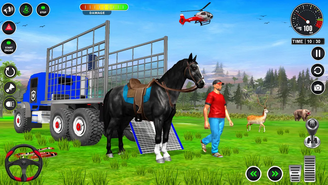 Animal Transport Truck Game 3D (Игра Грузовик для перевозки животных) [МОД: Много денег, Монет и Все открыто] Screenshot 5