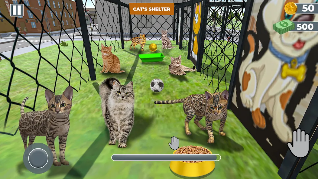 Animal Shelter: Pet Rescue 3D [МОД: Много денег, Монет и Все открыто] Screenshot 2
