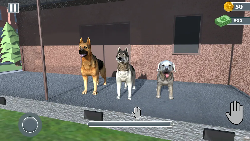 Animal Shelter: Pet Rescue 3D [МОД: Много денег, Монет и Все открыто] Screenshot 3
