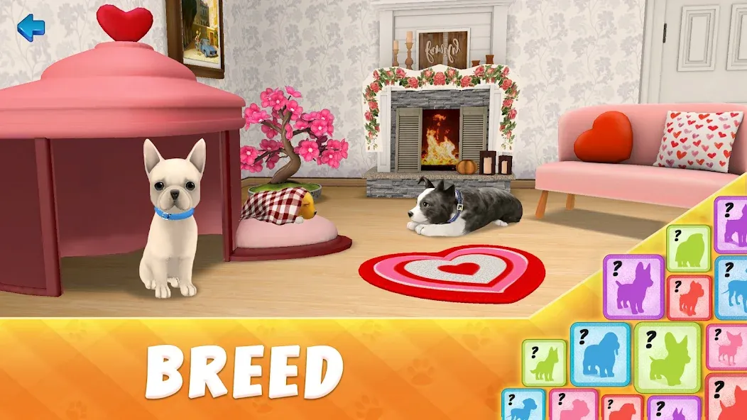 Dog Town: Puppy Pet Shop Games (Догтаун) [МОД: Много денег, Монет и Все открыто] Screenshot 5