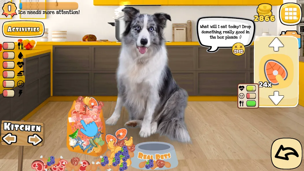 Adopt a pet : Corgi Games (Риал Петс бай Фруви) [МОД: Деньги, Монеты и Меню MOD] Screenshot 1