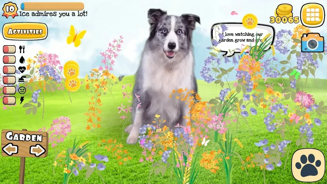 Adopt a pet : Corgi Games (Риал Петс бай Фруви) [МОД: Деньги, Монеты и Меню MOD] Screenshot 4