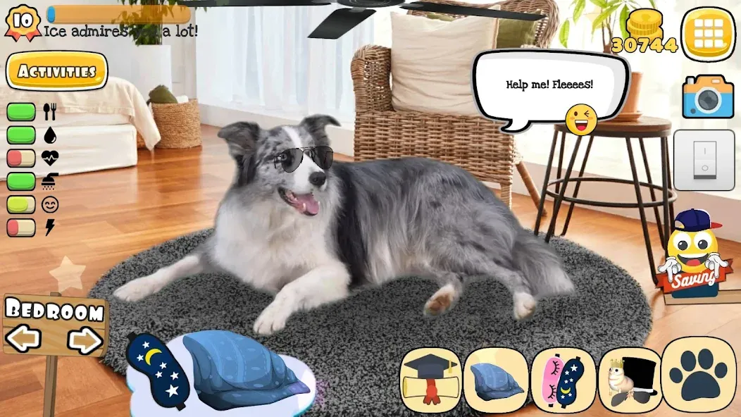 Adopt a pet : Corgi Games (Риал Петс бай Фруви) [МОД: Деньги, Монеты и Меню MOD] Screenshot 5
