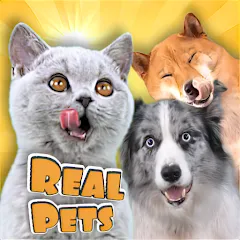 Скачать Adopt a pet : Corgi Games (Риал Петс бай Фруви) [МОД: Деньги, Монеты и Меню MOD] | Взлом Adopt a pet : Corgi Games на Андроид