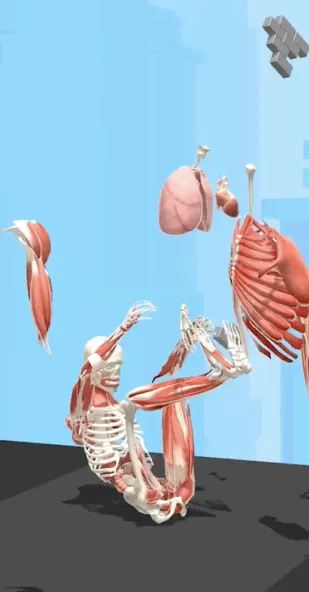 Human Run (Хуман Ран) [МОД: Деньги, Монеты и Меню MOD] Screenshot 2
