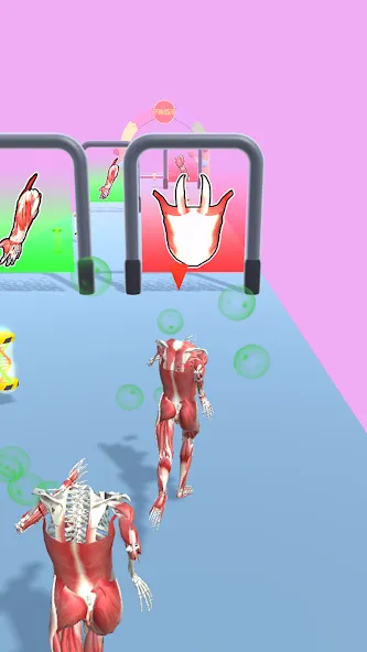 Human Evolution Run [МОД: Бесконечные деньги, Монеты и Мега MOD] Screenshot 1