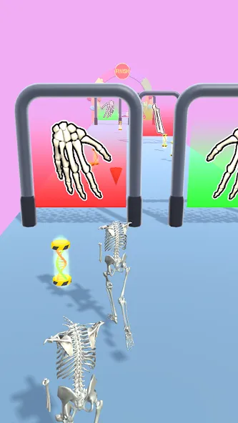 Human Evolution Run [МОД: Бесконечные деньги, Монеты и Мега MOD] Screenshot 2