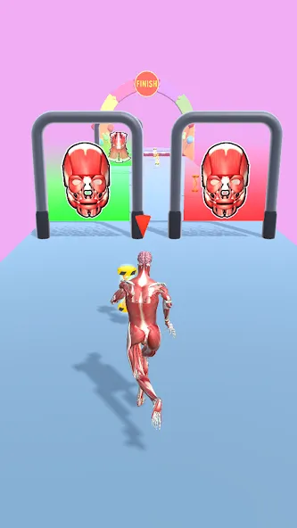 Human Evolution Run [МОД: Бесконечные деньги, Монеты и Мега MOD] Screenshot 5