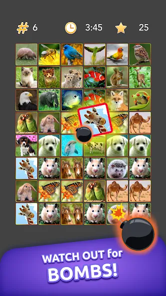 Onnect - Pair Matching Puzzle (Оннект) [МОД: Много денег, Монет и Все открыто] Screenshot 5