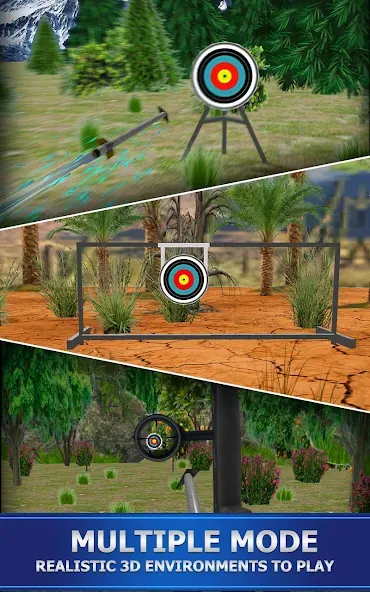 Archery Shoot [МОД: Много монет, Открытые уровни и Мега MOD] Screenshot 1