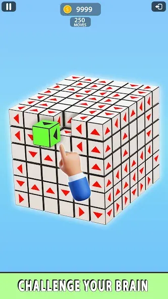 Tap Away: Puzzle Games (Тап Эвей 3Д) [МОД: Много монет, Открытые уровни и Мега MOD] Screenshot 5