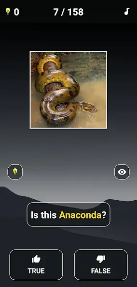 Animal Quiz: Guess the Animal [МОД: Много денег, Монет и Все открыто] Screenshot 3