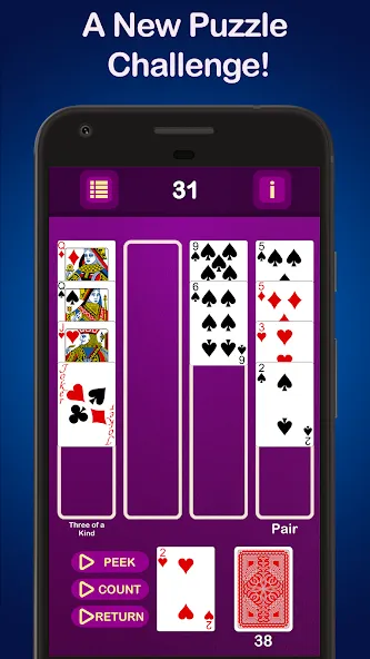 Puzzle Poker Joker's Wild [МОД: Меню, Бесконечные монеты и Открытые уровни] Screenshot 1