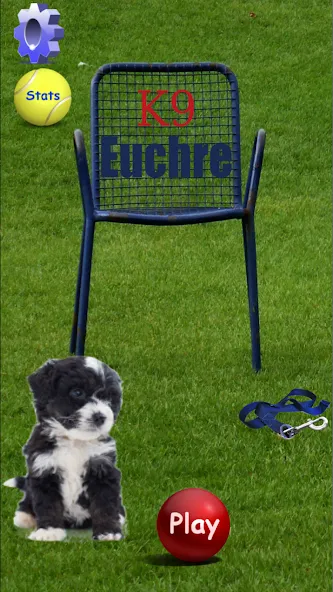 K9 Euchre (К9 Юкер) [МОД: Все открыто, Дополнительные деньги и Меню MOD] Screenshot 1