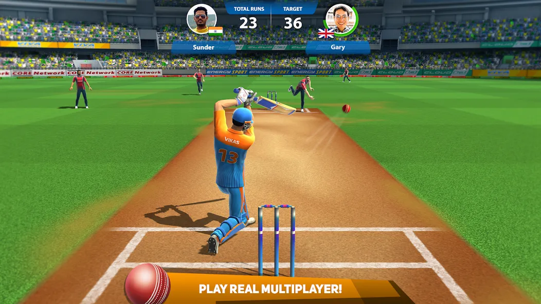 Cricket League (Крикет Лига) [МОД: Все открыто, Дополнительные деньги и Меню MOD] Screenshot 1