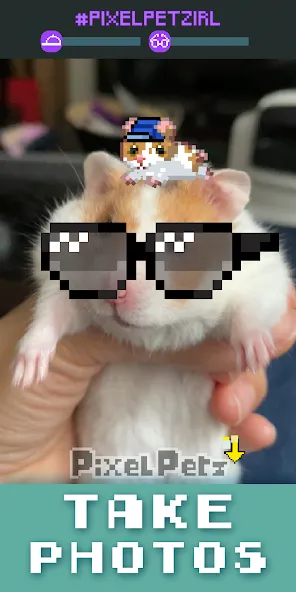 Pixel Petz [МОД: Меню, Бесконечные монеты и Открытые уровни] Screenshot 4