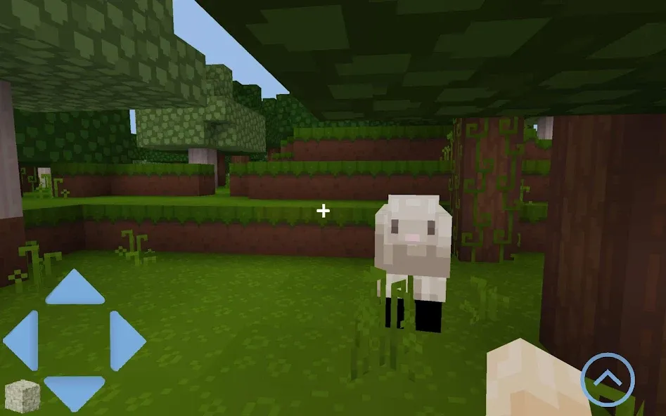 Craft World (Майккрафт) [МОД: Деньги, Монеты и Меню MOD] Screenshot 5