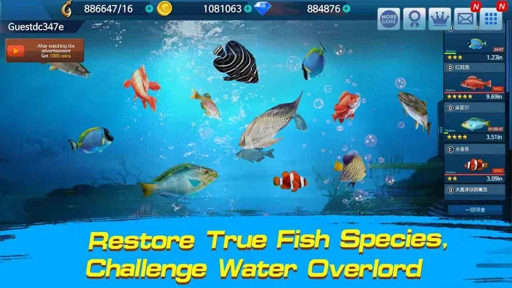 Fishing Championship [МОД: Много денег, Монет и Все открыто] Screenshot 2