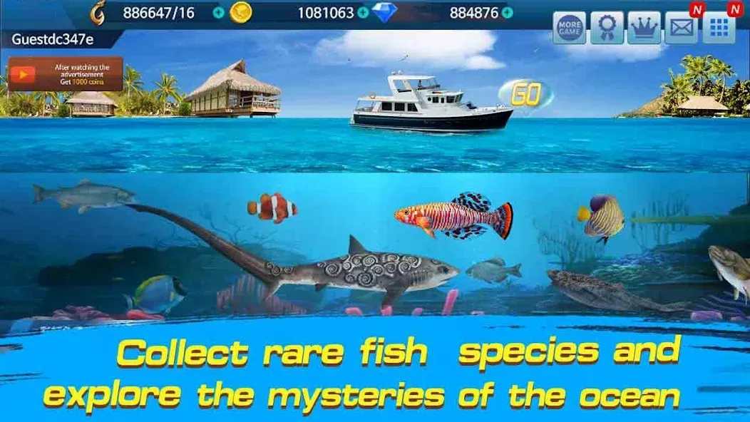 Fishing Championship [МОД: Много денег, Монет и Все открыто] Screenshot 3