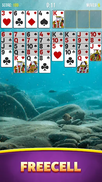 Solitaire Bliss Collection [МОД: Меню, Бесконечные монеты и Открытые уровни] Screenshot 4