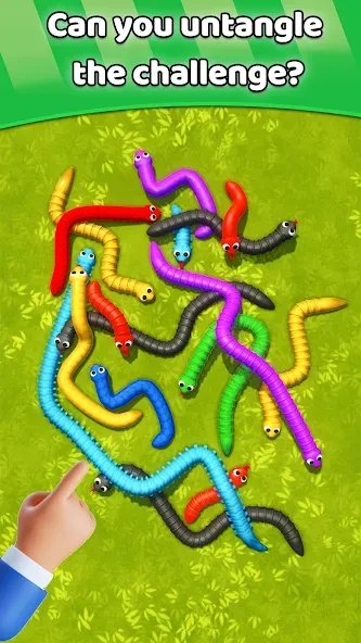 Tangled Snakes Puzzle Game (Танглед Снейк 3Д) [МОД: Деньги, Монеты и Меню MOD] Screenshot 5