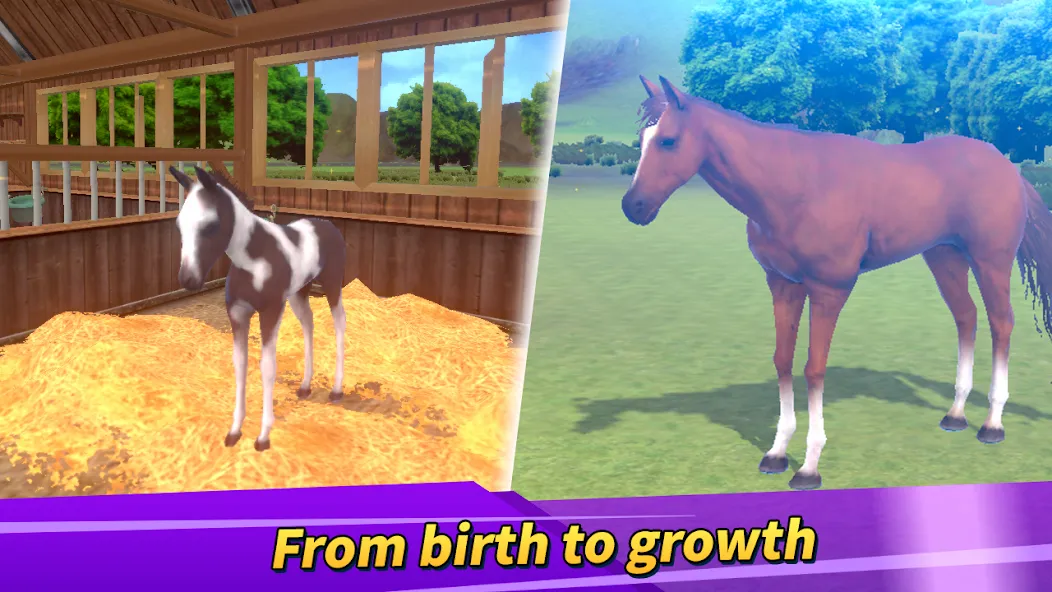 Derby Life : Horse racing (Дерби Лайф) [МОД: Все открыто, Дополнительные деньги и Меню MOD] Screenshot 2